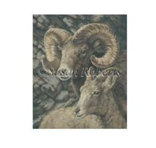 Big Horn Sheep Canvas - KC Needlepoint