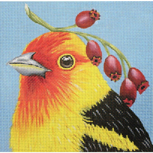 Western Tanager Needlepoint Canvas - KC Needlepoint