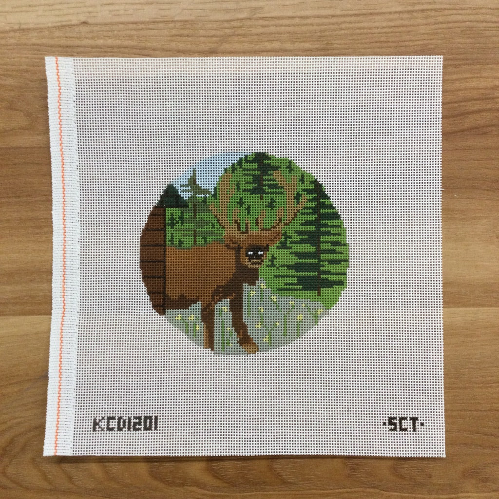 Surprise Visitor Canvas - needlepoint