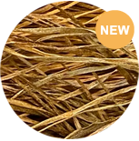 Straw Silk 0253 Malt Liquor - needlepoint