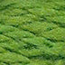 Planet Earth Merino Wool 059 Treetop - KC Needlepoint