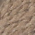 Planet Earth Merino Wool 141 Twigs - KC Needlepoint